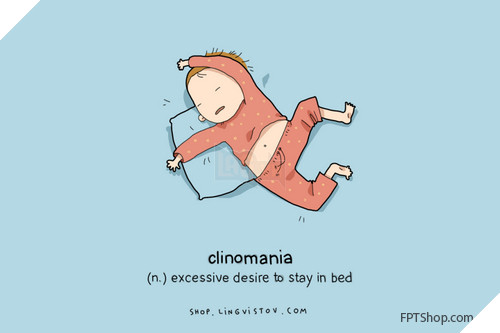 Những hình ảnh vui mà chỉ những người thích ngủ mới hiểu