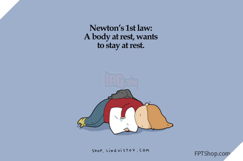 Những hình ảnh vui mà chỉ những người thích ngủ mới hiểu