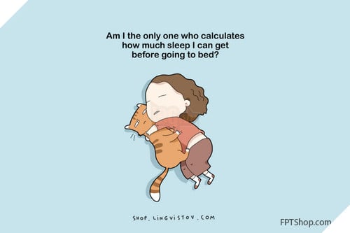 Những hình ảnh vui mà chỉ những người thích ngủ mới hiểu
