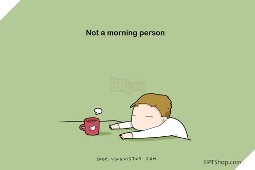 Những hình ảnh vui mà chỉ những người thích ngủ mới hiểu