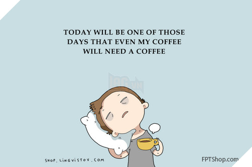 hình ảnh vui cho những người thích ngủ