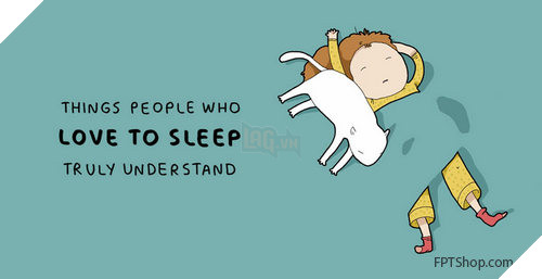 hình ảnh vui cho những người thích ngủ