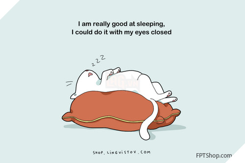 Những hình ảnh vui mà chỉ những người thích ngủ mới hiểu