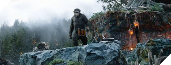 Cốt truyện của bộ phim Planet of the Apes tiếp theo cực kì khốc liệt