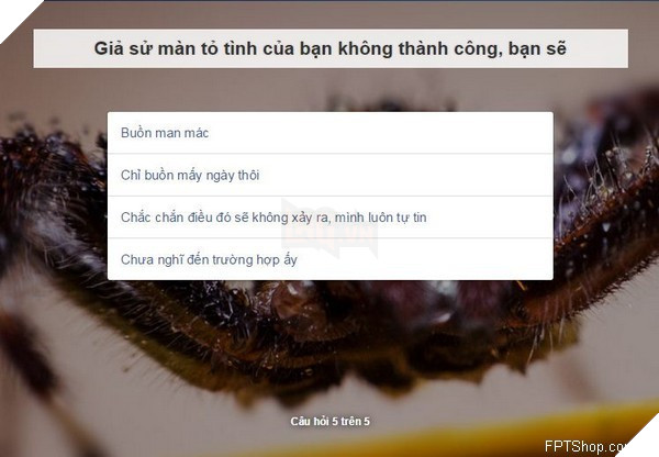 Ứng dụng hot Facebook - Giang hồ nói gì về bạn?