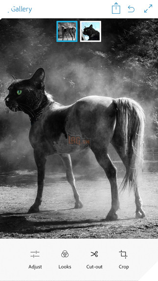 Ung-dung-chinh-sua-anh-video-hot-tren-iPhone-iPad