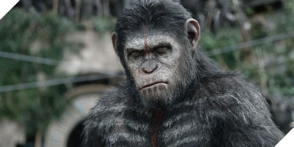 Wars for the Planet of the Apes sẽ có game