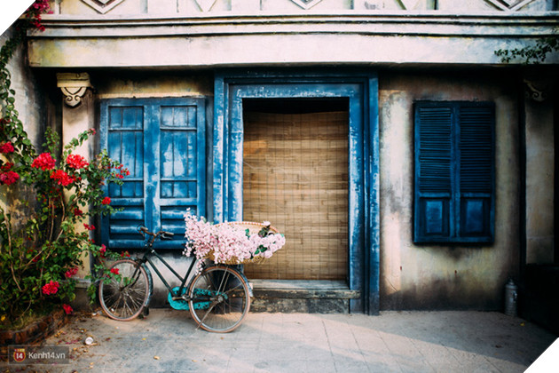 Một cánh đồng hoa bao la với bầy cừu xinh xắn, ở Hà Nội cũng có rồi đấy! - Ảnh 17.