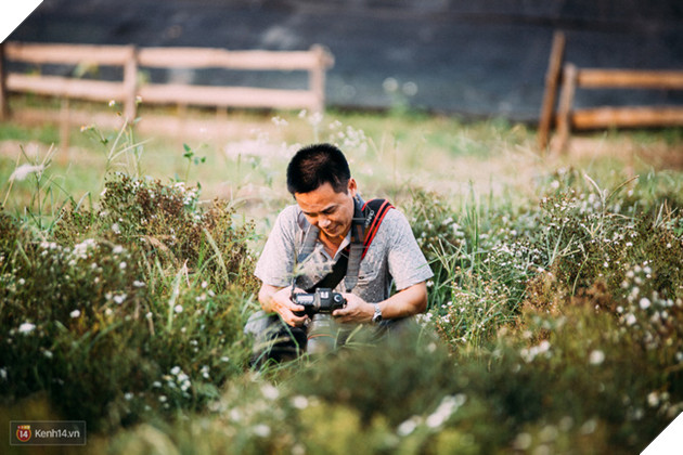 Một cánh đồng hoa bao la với bầy cừu xinh xắn, ở Hà Nội cũng có rồi đấy! - Ảnh 13.