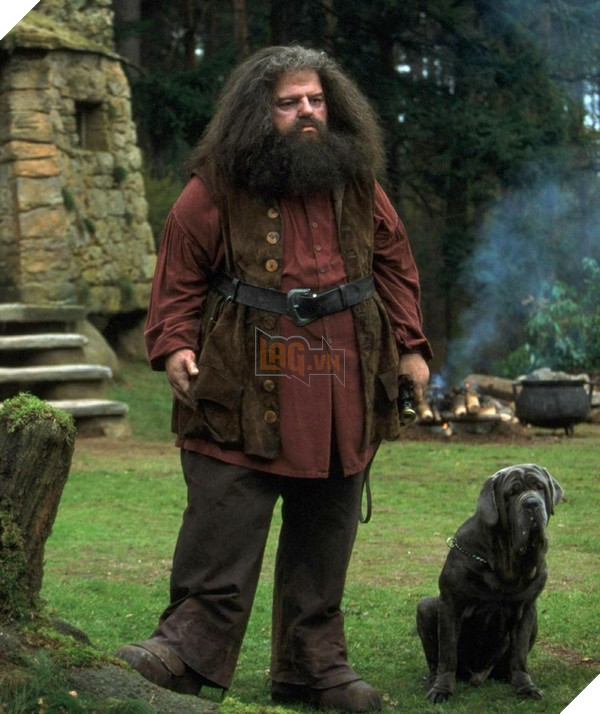 Tạo hình Hagrid vẫn còn quá nhỏ trong phim Harry Potter