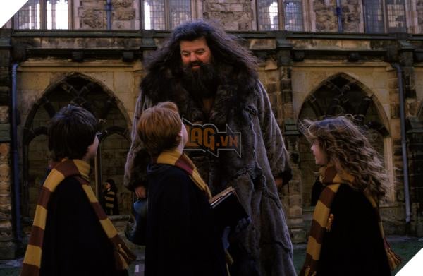 Tạo hình Hagrid vẫn còn quá nhỏ trong phim Harry Potter 2
