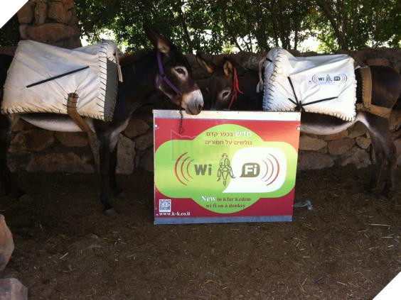 Đây là những nơi kì quặc nhất có kết nối Wi-Fi - Ảnh 1.