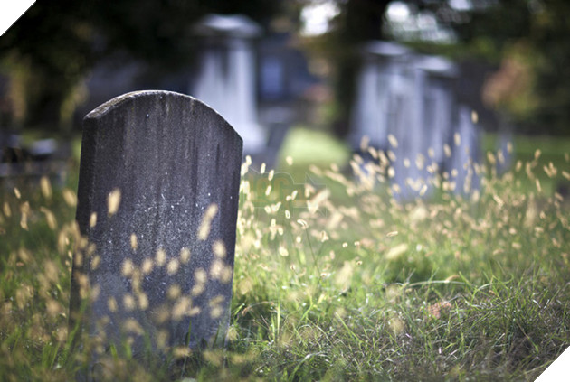 Đây là những nơi kì quặc nhất có kết nối Wi-Fi - Ảnh 4.