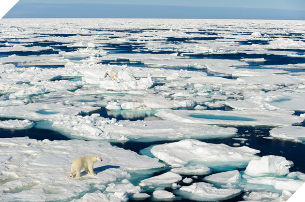 Đây là những nơi kì quặc nhất có kết nối Wi-Fi - Ảnh 5.