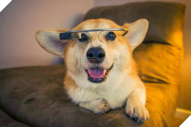 7 bí mật thú vị của Google ai không biết sẽ rất đáng tiếc - Ảnh 3.