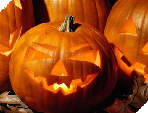 Lễ hội ma Halloween và những điều bạn chưa biết