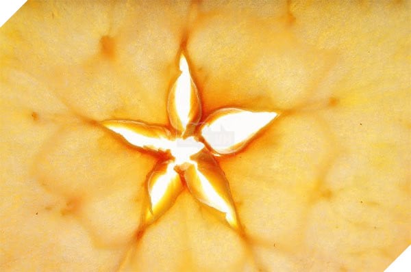 Lễ hội ma Halloween và những điều bạn chưa biết