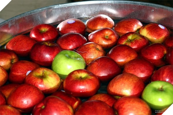 Lễ hội ma Halloween và những điều bạn chưa biết