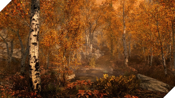 Dung lượng mod Skyrim Remastered giới hạn 1GB trên PS4 và 5GB trên Xbox One 2