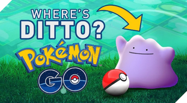 Lý do nào mà Pokemon Ditto vẫn chưa xuất hiện trong Pokemon Go?