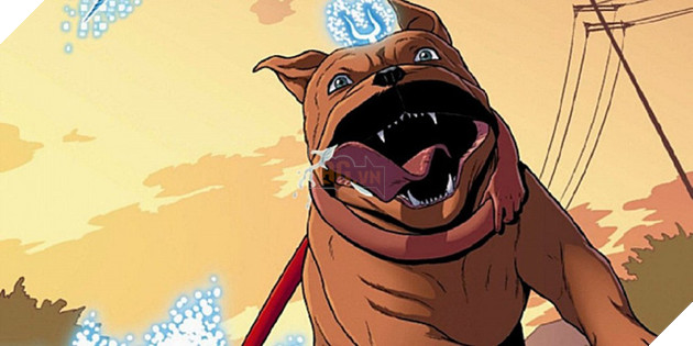 Sự thật ít ai biết - Thú cưng của Batman là một con... bò