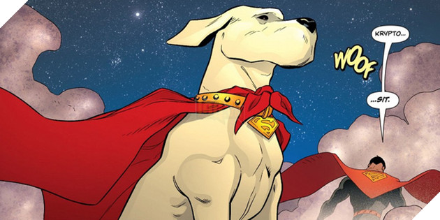 Sự thật ít ai biết - Thú cưng của Batman là một con... bò