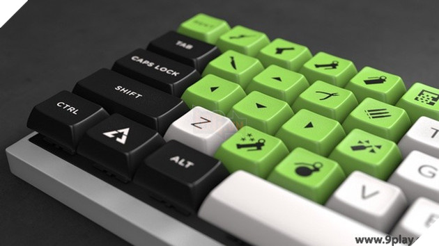 
Bộ bằng nhựa xanh cực hay.
