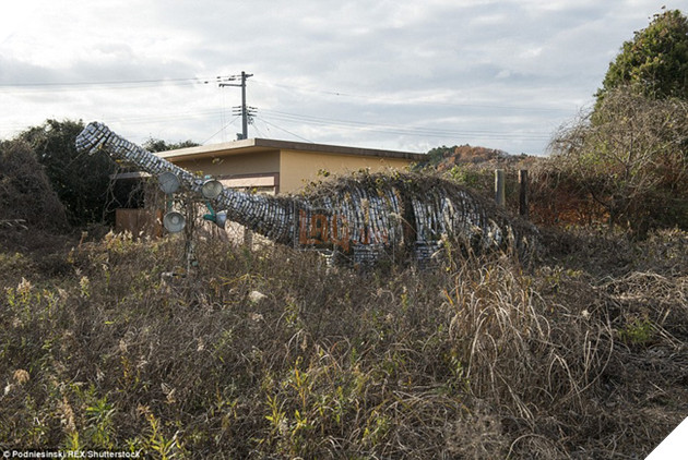 Chùm ảnh: Những bức hình ám ảnh về thị trấn ma sau thảm họa nhà máy hạt nhân Fukushima, Nhật Bản 2011 - Ảnh 11.