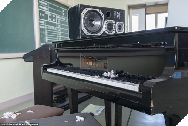 Chùm ảnh: Những bức hình ám ảnh về thị trấn ma sau thảm họa nhà máy hạt nhân Fukushima, Nhật Bản 2011 - Ảnh 15.