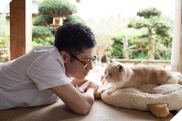 Neko Atsume: Tựa game sưu tập mèo sẽ lên màn ảnh lớn tại Nhật Bản vào năm sau 2