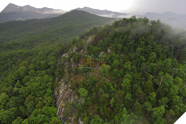 
Khu đồi Box Creek nhìn từ trên cao.
