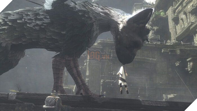Sau 8 năm vẫn có rất nhiều người chờ đợi The Last Guardian, đó là vì game trông quá hấp dẫn
