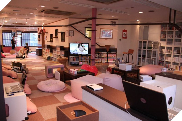 Đến thăm quán cafe mèo cosplay cực dễ thương tại Nhật Bản