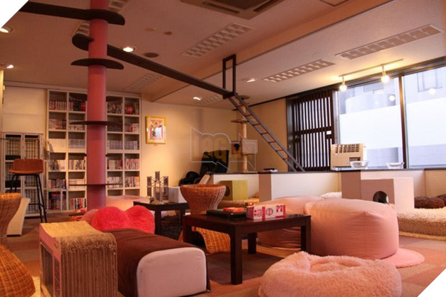 Đến thăm quán cafe mèo cosplay cực dễ thương tại Nhật Bản