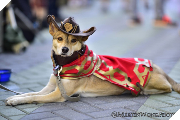 Chiêm ngưỡng cosplay Overwatch cực chất tại Blizzcon 2016