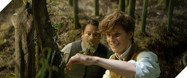 Đánh giá phim Fantastic Beasts - Hài hước, li kì, hấp dẫn chẳng kém gì Harry Potter