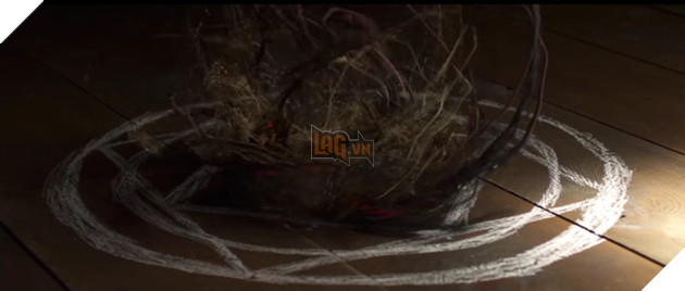 
Vòng tròn chuyển hóa
