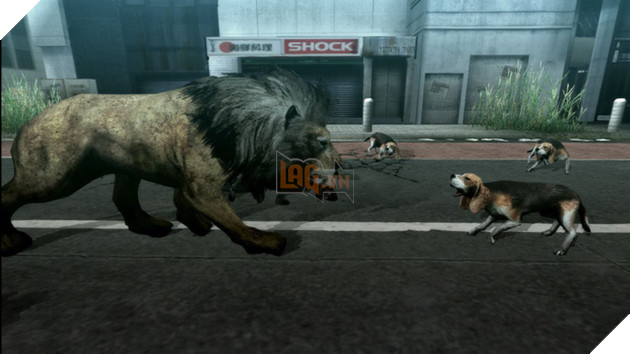 Top 5 game kỳ quái nhất, hoang dã nhất cho bạn hóa thân thành ... động vật