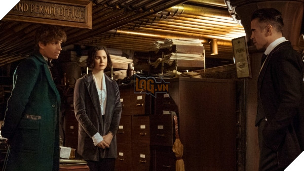 Đi tìm lời giải cho việc Fantastic Beasts dự định làm 5 phần phim 3