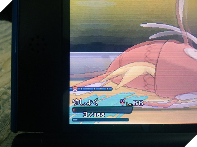 
Tưởng tượng trận đấu nào cũng phải ăn vạ như thế này đã thấy mệt rồi...
