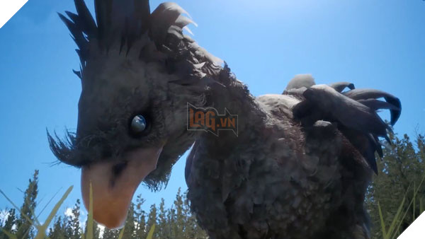 FFXV-Black-Chocobo