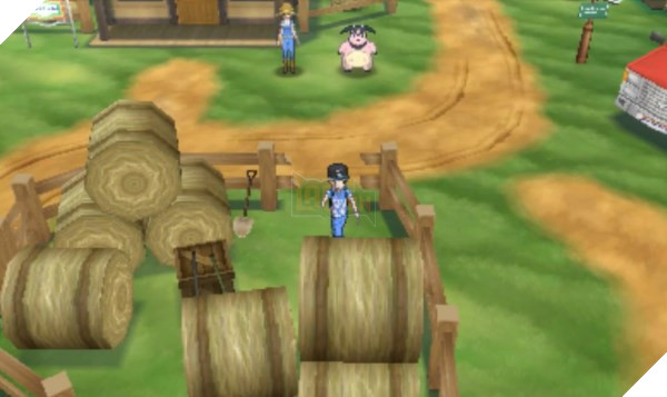 Pokémon Sun và Moon: Oval Stone