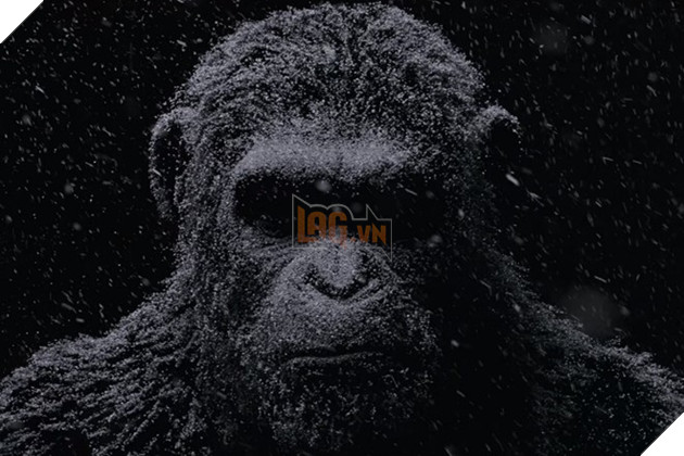 20 phim bom tan dang cho doi nhat nam 2017 hinh anh 15