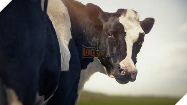 
Chú bò sữa này cũng là sản phẩm của đồ họa 3D.
