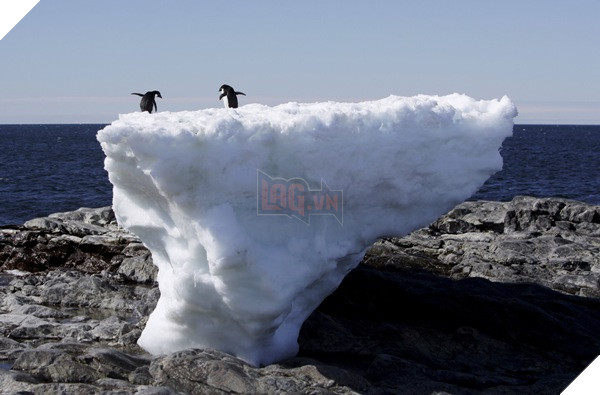 Có thể bạn chưa biết về những lần đầu tiên của thế giới trong năm 2016 - Ảnh 9.