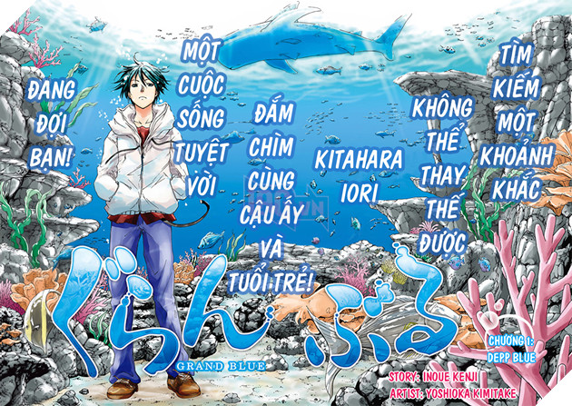 Kết quả hình ảnh cho Grand Blue