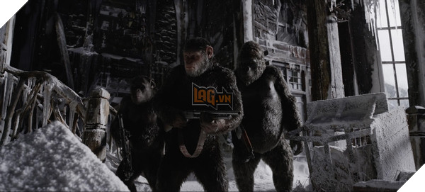 Chúng ta biết gì về War for the Planet of the Apes? 3