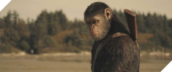 Chúng ta biết gì về War for the Planet of the Apes? 5