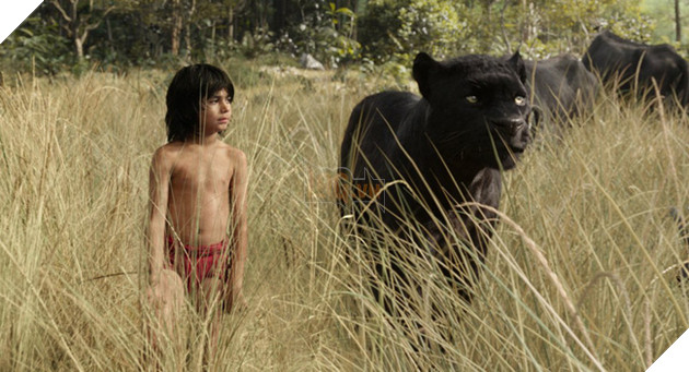 Bài học từ kẻ thắng, người thua trên màn ảnh rộng năm 2016 - Ảnh 1.