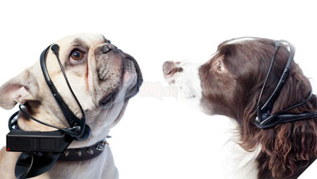 7 thiết bị công nghệ sẽ khiến bạn mắt tròn mắt dẹt ngạc nhiên - Ảnh 4.